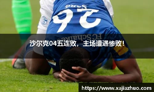 LD乐动官网