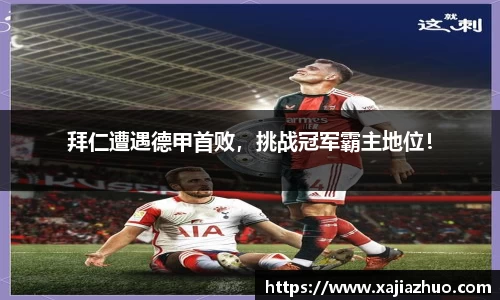 LD乐动官网