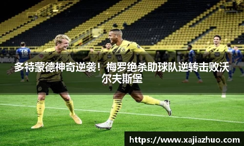 LD乐动注册