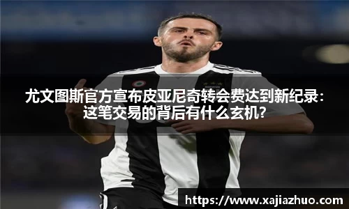 LD乐动官网