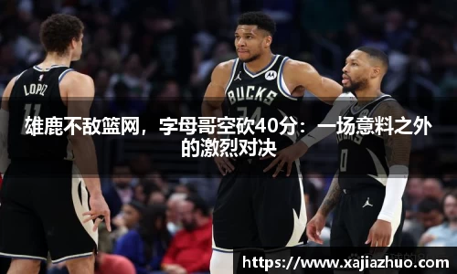 LD乐动注册