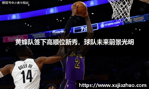 LD乐动app