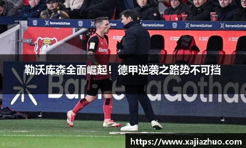 LD乐动官网