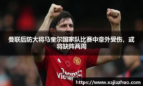 LD乐动网址