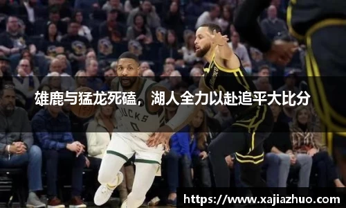 LD乐动app