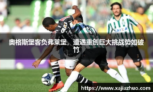 LD乐动官网