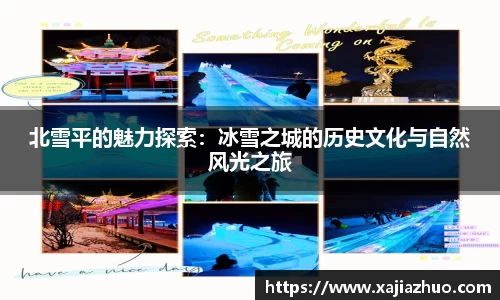 北雪平的魅力探索：冰雪之城的历史文化与自然风光之旅