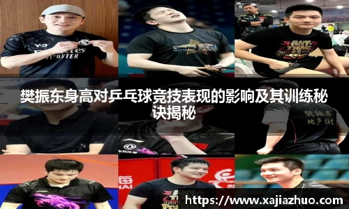 樊振东身高对乒乓球竞技表现的影响及其训练秘诀揭秘